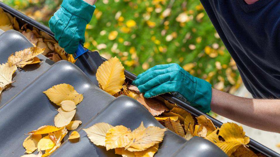 choice gutter cleaning 