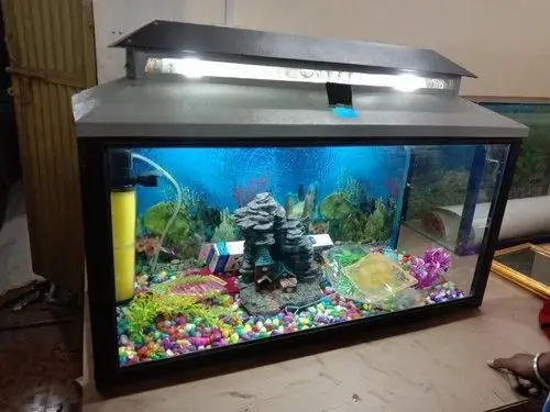 Aquarium